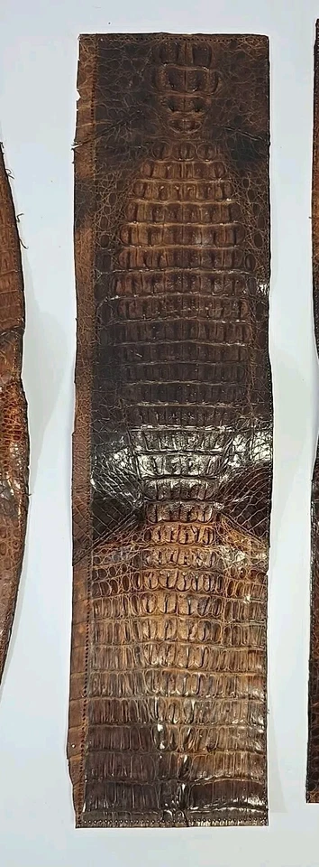 Crocodile/Alligator Leather Straps/Strips With Ties Please Read Description!!! - Image 4 of 4