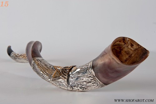 Increíble shofar kudu yemenita chapado en plata yemenita de 39,5""-42"" menorá estrella uva + bolsa - Imagen 2 de 2