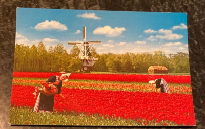 Holland Niederlande Windmühle Bloemenland ungebraucht Postkarte Land der Blumen