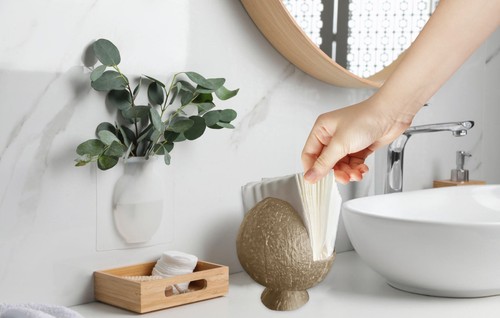 Coconut Shell Tissue/Serviette Holder for Hotel, Kitchen, Office Eco-Friendly - Picture 3 of 11
