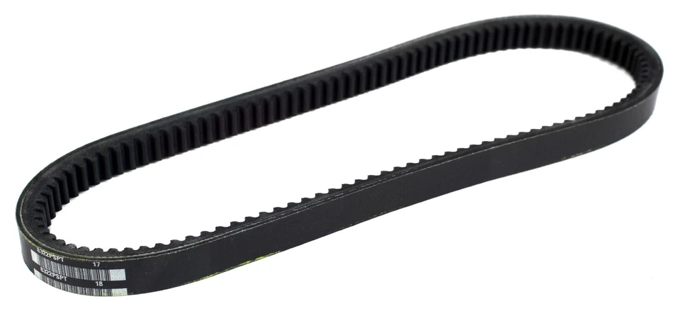 Gates Green Stripe Truck Bus Series V-Belt se adapta a modelos 1925-36 Auburn ID TR28333 Foto 4 de 4