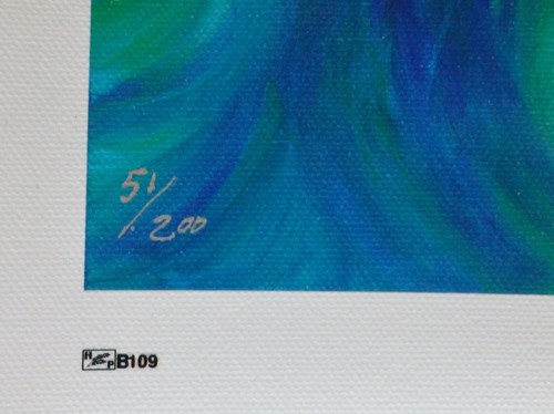 Charles Lynn Chick Bragg ORCA SPACE JUMP Hand Signed Limited Edition on Canvas - Picture 4 of 5