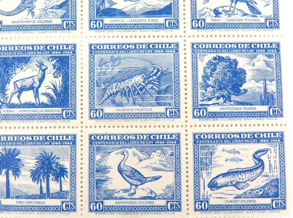 .SCARCE 1944 CHILE BLOCK of 25 60 Cents, FLORA & FAUNA, CLAUDIO GAY. MH - Image 2 of 4