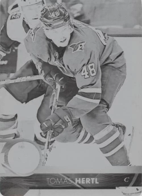 Printing Plate Black