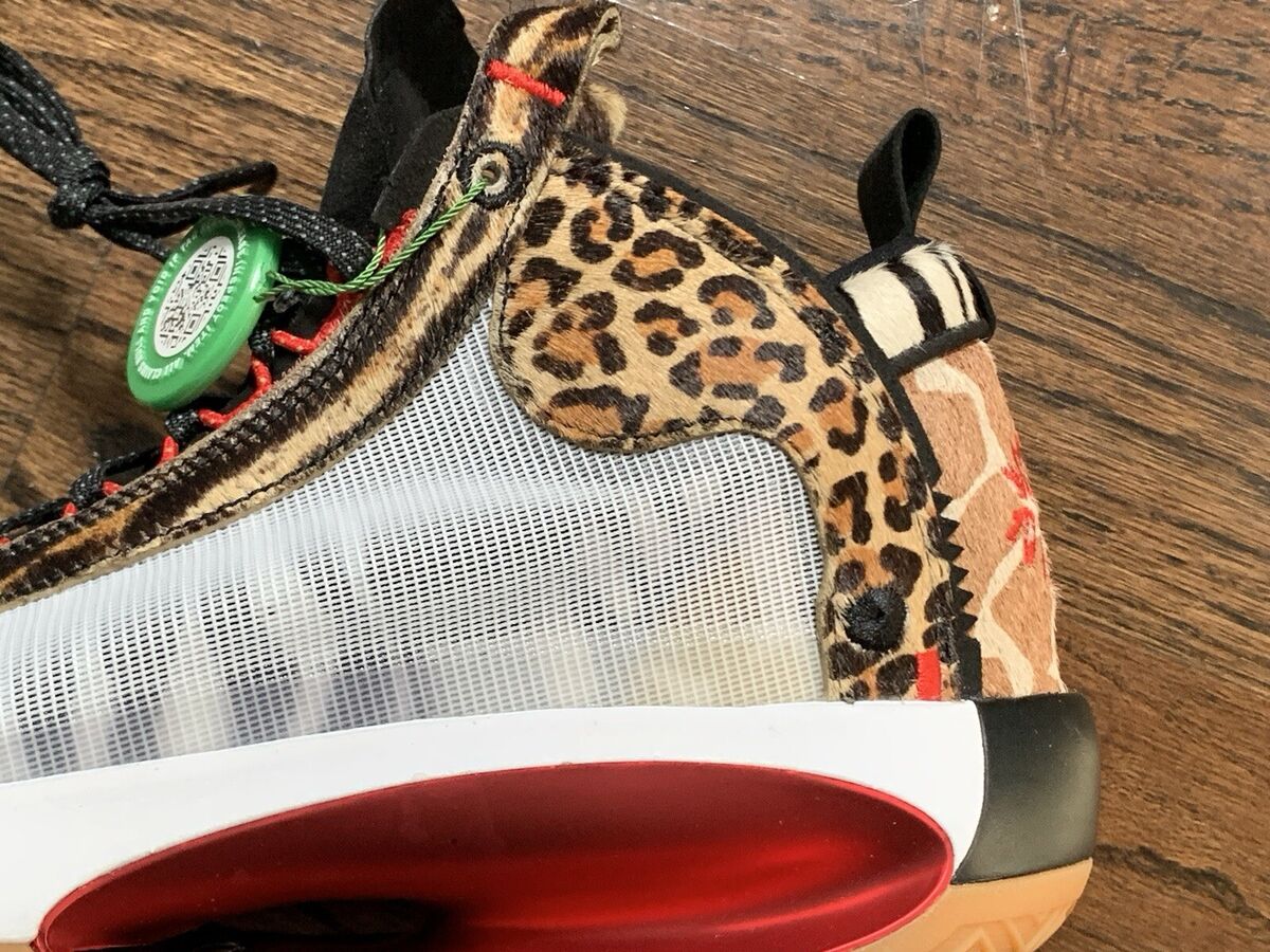 Size 11 - Jayson Tatum x Air Jordan 34 Welcome To The Zoo