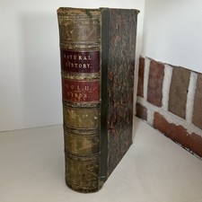 Antique 1862 Illustrated
