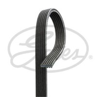 Gates Keilrippenriemen FüR VW Caddy III Kombi Sharan Seat Alhambra Van