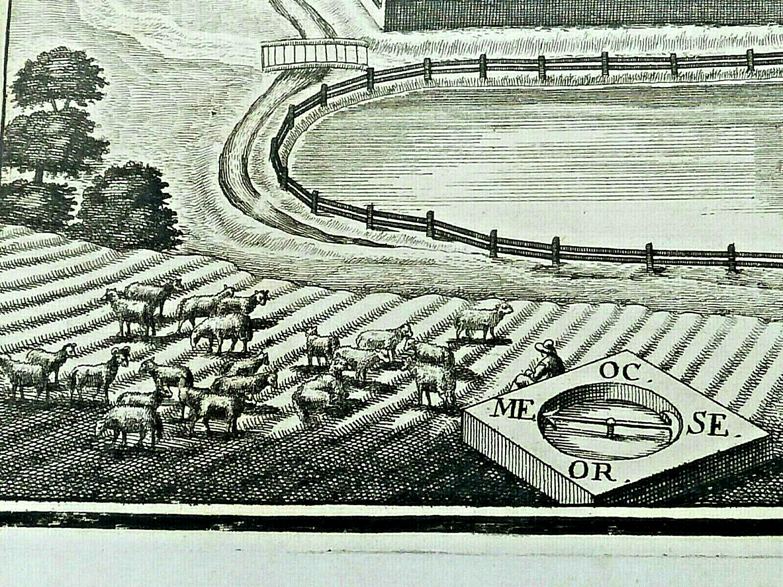 Picture 4 of 7