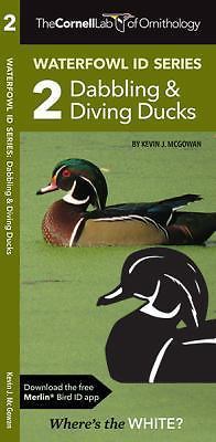 Cornell Lab of Ornithology Waterfowl ID Series: 2 Dabbling & Diving Ducks: C...