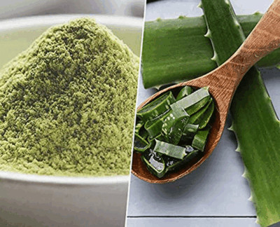 Aloe Vera Leaf Powder Ghrita Kumari Powder Aloe Barbadensis Leaves Powder Herbs