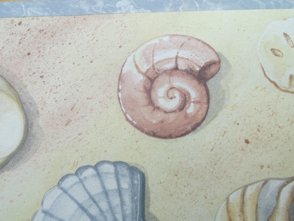 Обои кайма морские раковины морские звезды на пляже светло-голубые коричневые 6,75 дюйма - Изображение 4 из 4