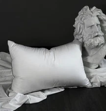 Premium White Down Pillow Queen Size - 550+ Fill Power Down Pillows - Hotel Bed