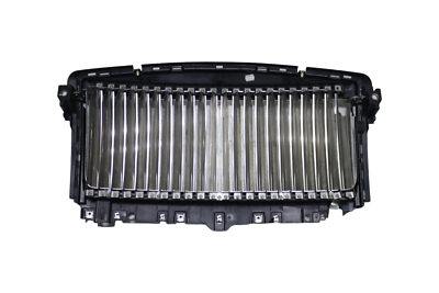 2010-2019 Rolls Royce Rr4 Ghost Radiator Grille Grill 51117234938  