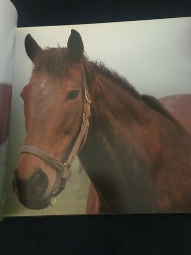 Kentucky Wide by Jeff Rogers Panoramics - Hardcover 2006 Signed - Picture 10 of 12