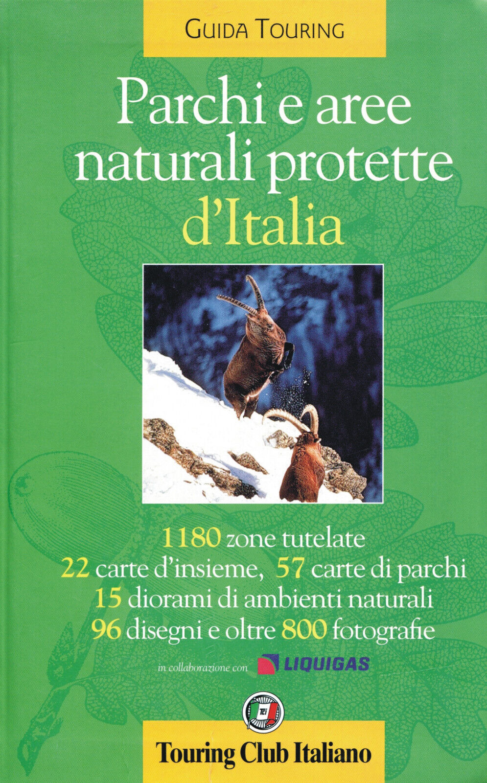 Foto 1 di 1