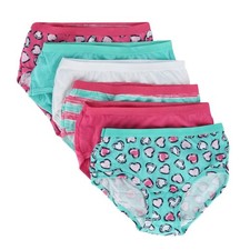 Fruit of the Loom Girl's Eversoft Brief Underwear 6 Pack