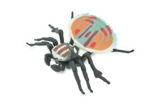 Peacock Spider, Jumping Spider Toy Hand Painted Realistic Rubber 4.5