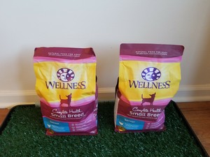 wellness complete health small breed senior