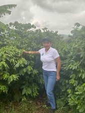 GUATEMALA HUEHUETENANGO COFFEE BEANS MEDIUM ROAST WHOLE BEAN BULK 2LB