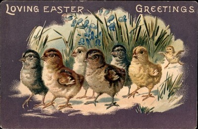 Easter Chicks in Grass Nest Animals Tuck c1910s-20s Vintage Postcard