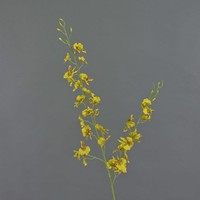 Artplants KüNstlicher Oncidium Zweig Taliah, 34 BlüTen, Gelb, 85Cm