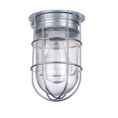 Canarm Ceiling/Wall Outdoor/Indoor Barn Light with Cage, 4.5in. Dia., 100