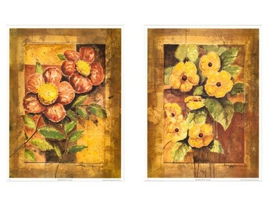 Steve Butler Art Prints Bountiful Garden I and II Set of 2 19x25 in