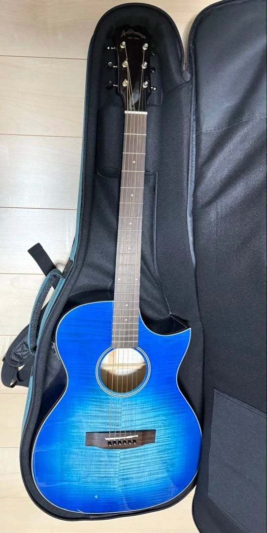 Aria Dreadnought Acoustic Guitars for sale - eBay