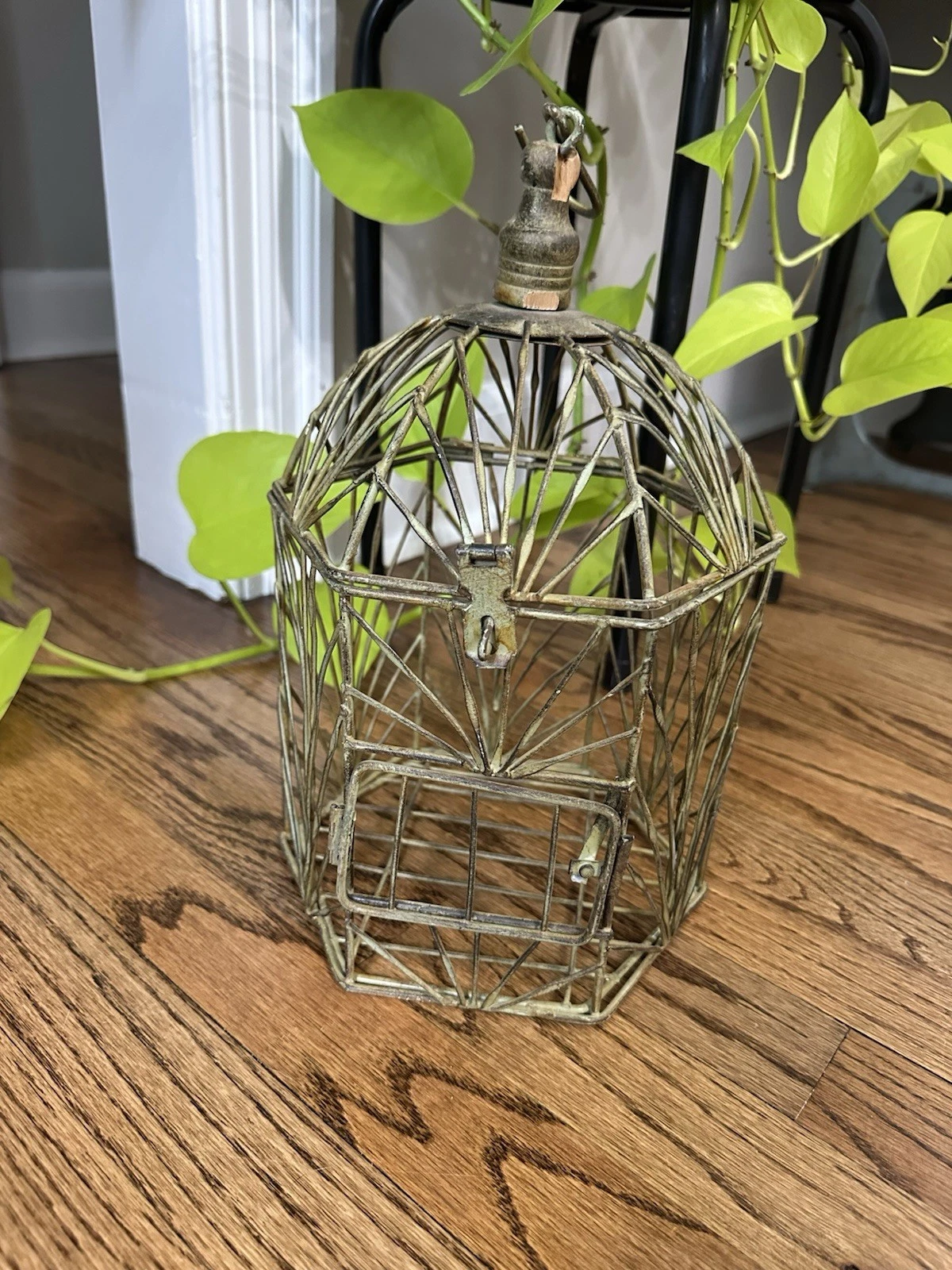 Decorative Metal And Wood Bird Cage With Hook To Hang
Opens in a new window or tab