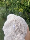 Bild 7 von 10