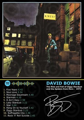 David Bowie - The Rise & Fall Of Ziggy Stardust - Made By Mashed Designs