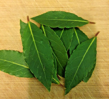 Fresh Organic Bay Leaves x 10 leaves