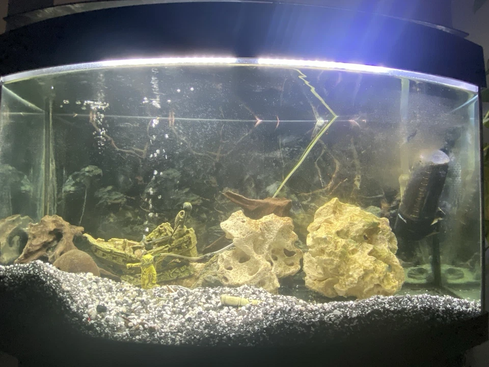 Juwel Large Aquarium Fish Tank with Cabinet stand and Accesories - Image 4 of 4