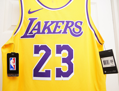 Lebron James LA Lakers Nike Authentic NBA Icon Edition Jersey 2020