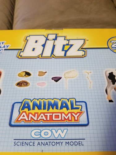 Modo VISIBLE COW Veterinary Educational Animal BOVINE Anatomy Model 4D Master - Picture 10 of 12