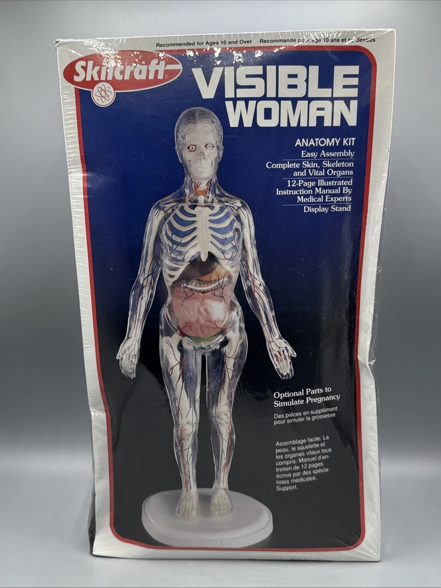 visible woman products for sale | eBay