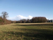 Photo A3 Abbey Field, Manor Park Country Park West Malling Abbey Field i c2012