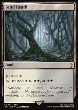 Magic/MTG Fetid Heath FIC-391 Rare Französisch NM