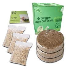 Cat Grass Refill Kit - Grow Your Own Cat Grass - Includes Seed and Growing Coils