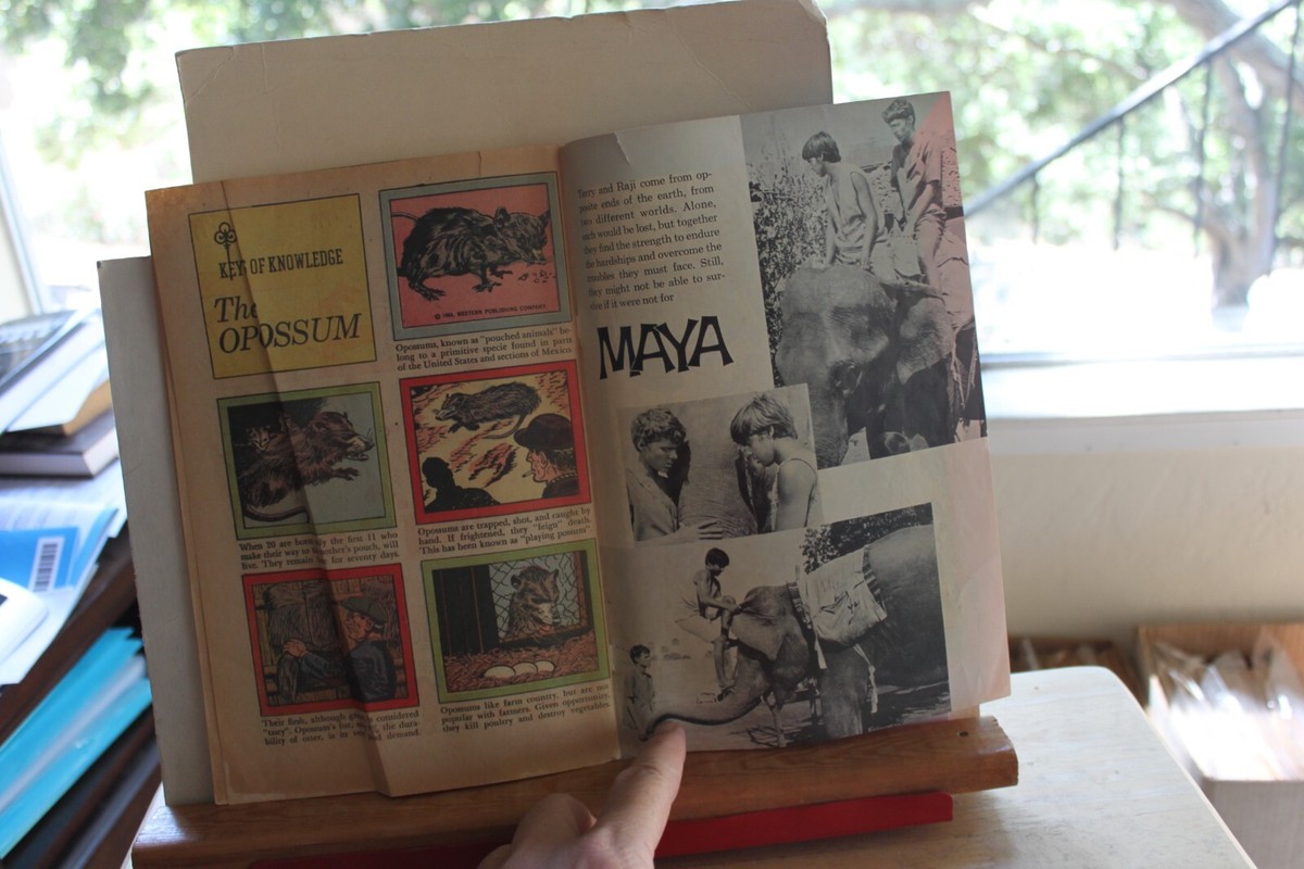 Maya #1 | eBay