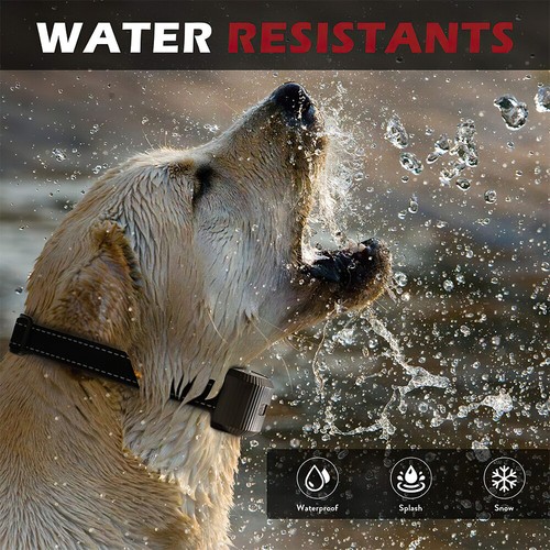 AU Dog Bark Collar-Compact Anti Barking Remote Stop Training sound-vibrate-shock - Picture 9 of 13
