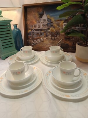 Corelle Livingware Apricot Grove 16-Piece Dinnerware Set Excellent Used  Conditi