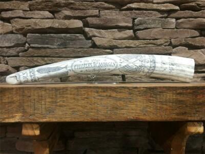 HISTORIC Scrimshaw Walrus Tusk 