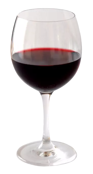 Wine 2024 photo props