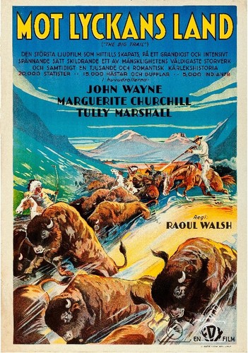 THE BLACK ROOM FILM Rfdx - POSTER HQ 40x60cm d'une AFFICHE CINéMA