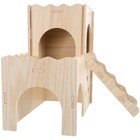 Bild 10 von 12