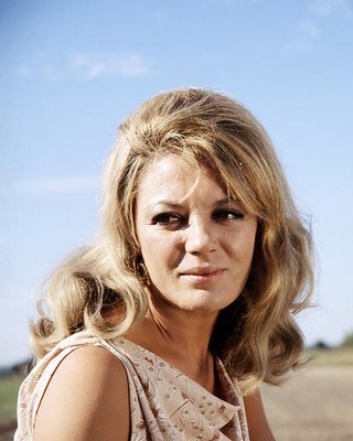 SHEREE NORTH PREMIUM PRINTS AND POSTERS 295041