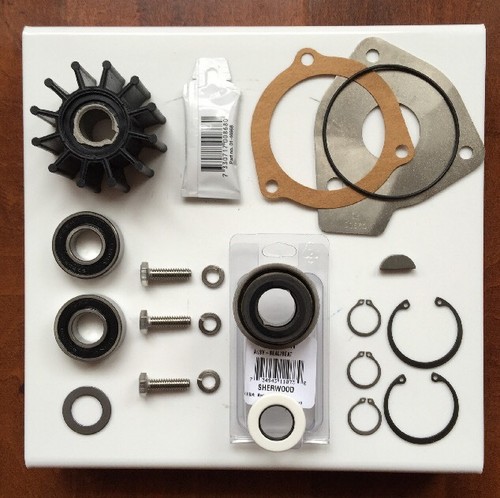 Sherwood Raw Water Pump Rebuild kit OEM 