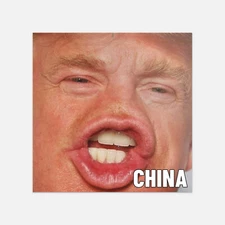 Generic Donald Trump China Meme Car Bumper Vinyl Sticker Decal