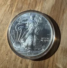 2013 1 Oz Silver American Eagle (Brilliant Uncirculated)